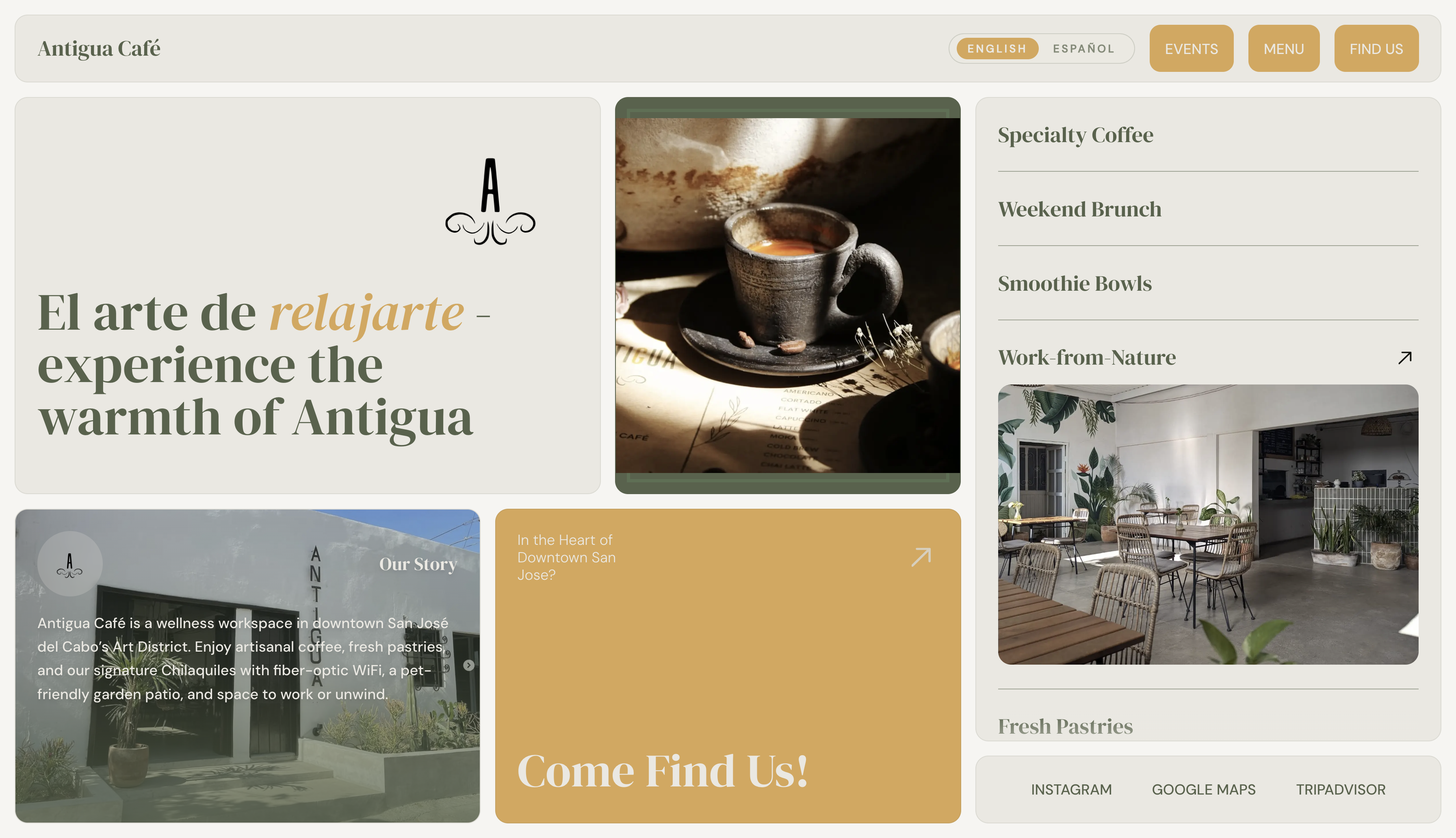 Antigua Cafe website — coffee shop in Los Cabos