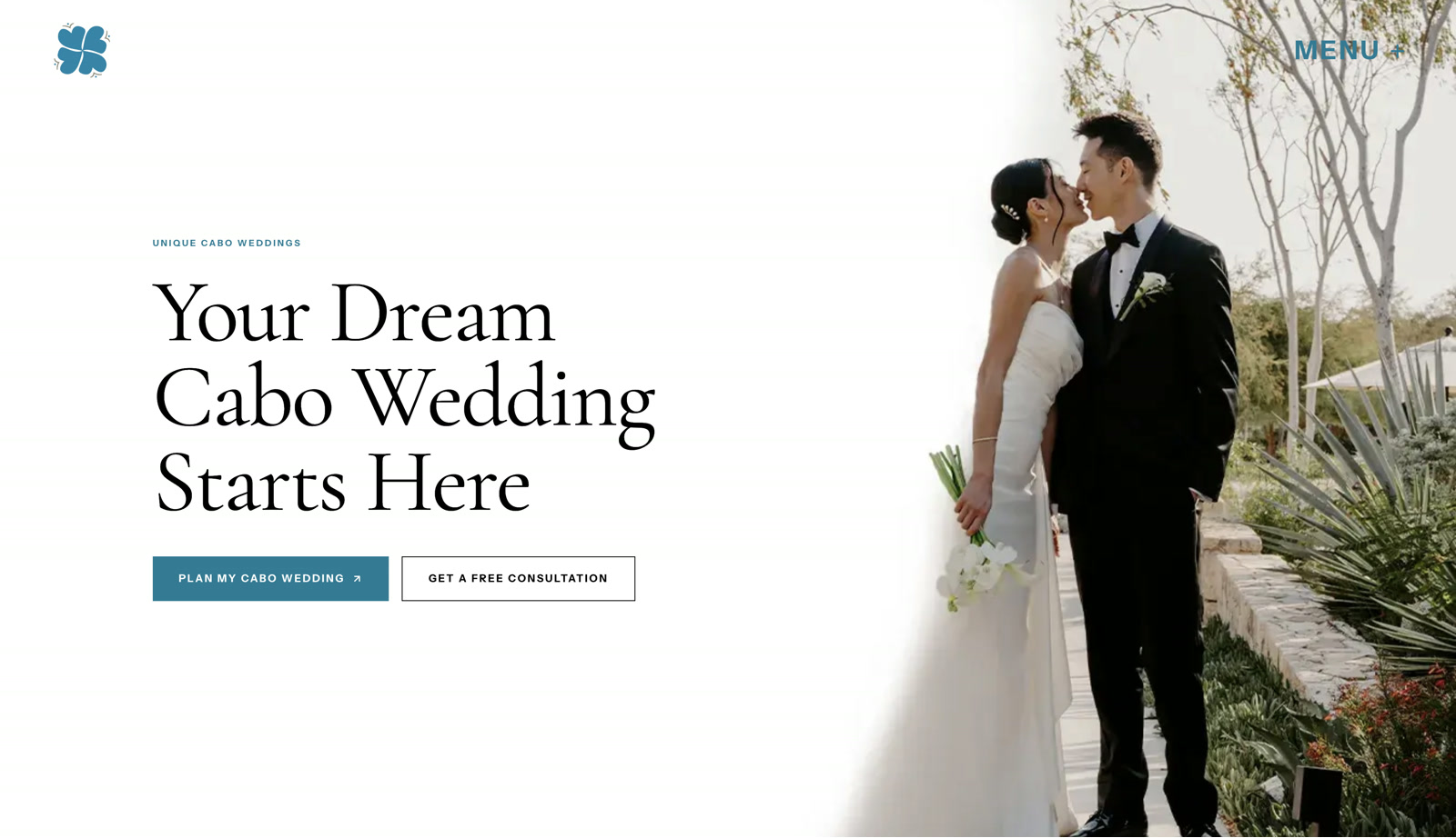 Unique Cabo Weddings website