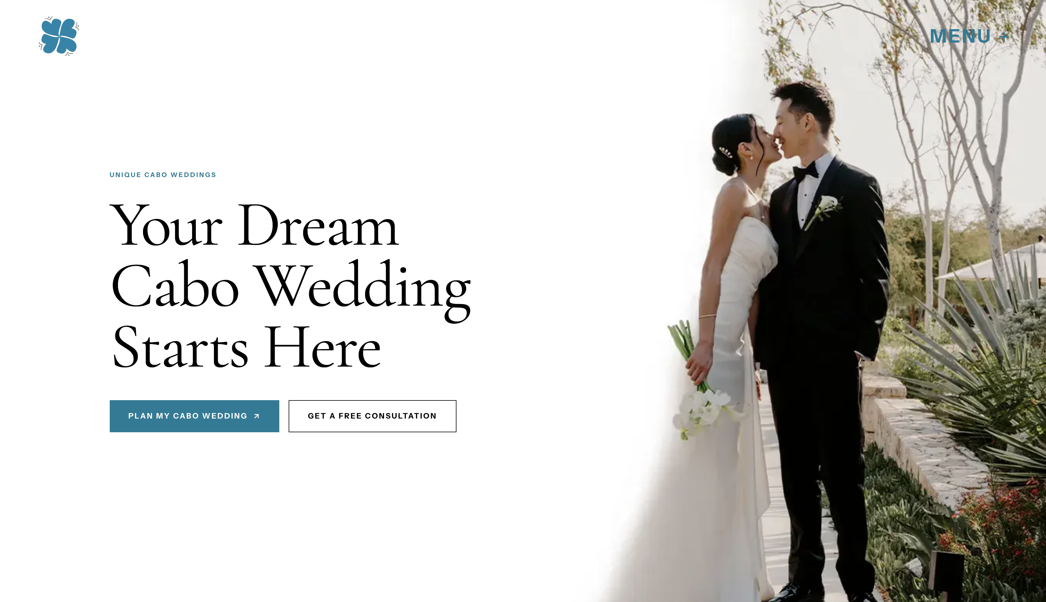 Unique Cabo Weddings website — destination wedding planning in Los Cabos